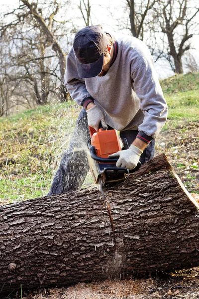 Jovem cortando árvores usando uma motosserra elétrica — Fotografia de Stock