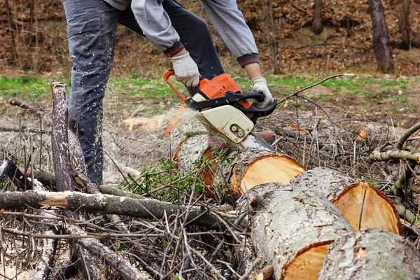 Man cutting trees using an electrical chainsaw — Stock Photo, Image