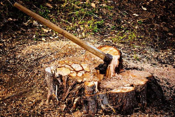 Closeup of iron axe stuck in wood log. — Stock Photo, Image