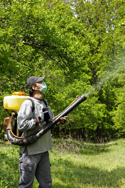 Jovem agricultor pulverizando as árvores com produtos químicos — Fotografia de Stock