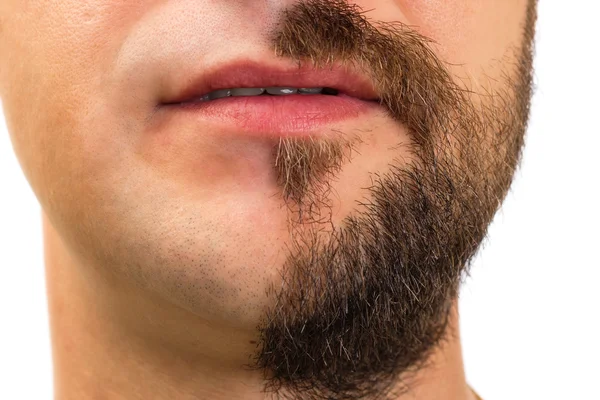 Primo piano dell'uomo con la barba su metà del viso — Foto Stock