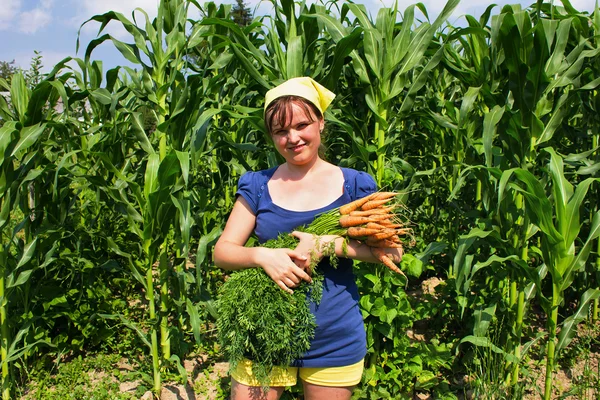 Mujer joven con un montón de zanahorias — Foto de Stock