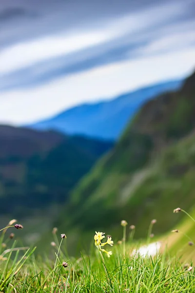 Bellissimo paesaggio delle montagne di Fagaras — Foto Stock