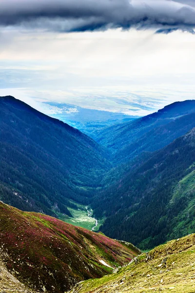 Vacker sommar landskap från Făgăraş bergen — Stockfoto