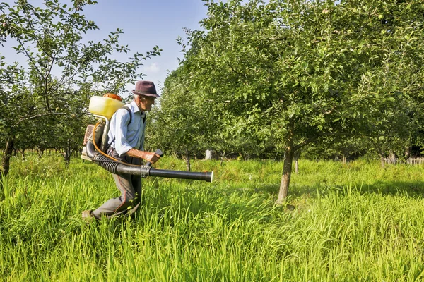Senior farmer spraying the orchard — Stock Photo, Image