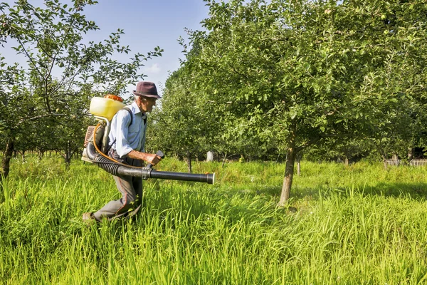 Agricultor sênior pulverizando o pomar — Fotografia de Stock