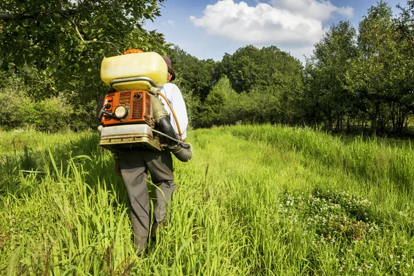 Senior  farmer spraying the orchard — Stock Photo, Image