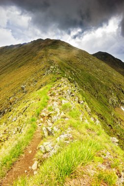 Güzel yaz peyzaj Fagaras Dağları