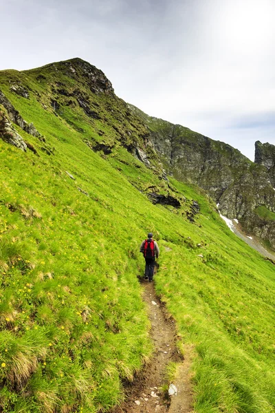 Beautiful landscape from the rocky Fagaras mountains in Romania — Stock Photo, Image