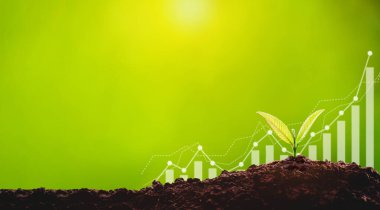 Ağaç dikerek, CSR konsepti oluşturarak ve ağaç fidanı dikerek CSR yapıyoruz.