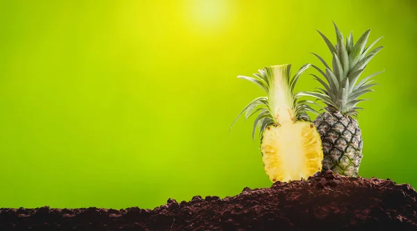 Ananas Mooi Groene Achtergrond — Stockfoto