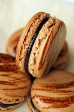 kahve macaron