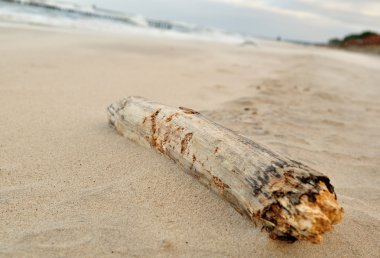 Baltık bkz: kartpostal.