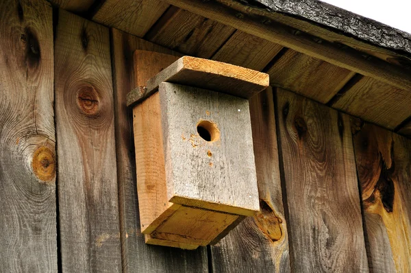 Zagnieżdżanie pole Bluebird — Zdjęcie stockowe