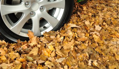 Otomobil kış lastiği