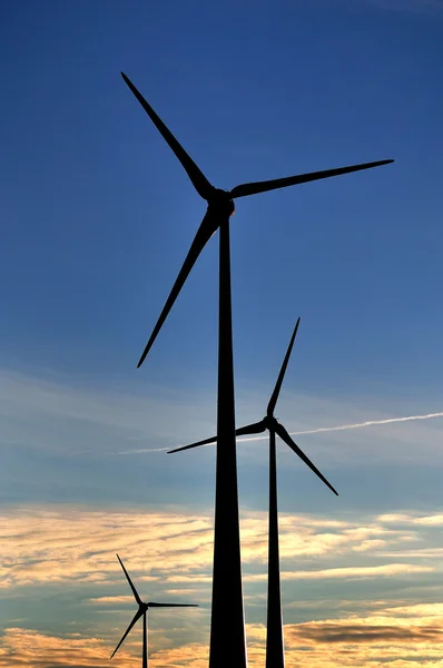 Windturbines bij zonsondergang. — Stockfoto