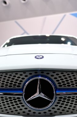 Erik cam ile içIAA 2013 Mercedes işareti