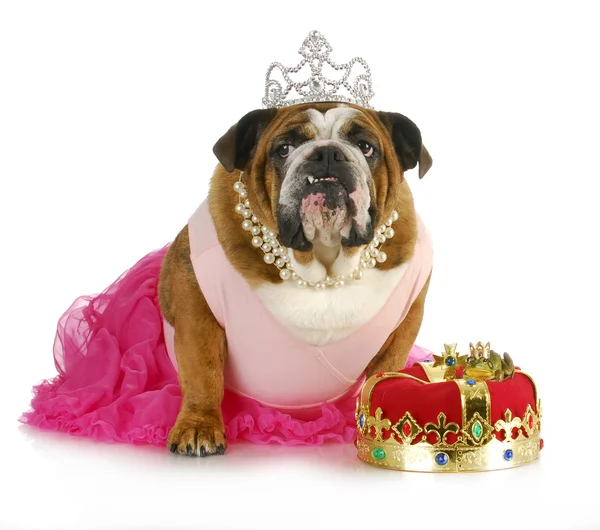 Fairytale princess Royalty Free Stock Photos