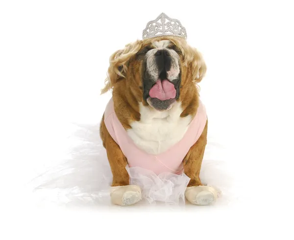 Toddlers in tiaras Royalty Free Stock Images