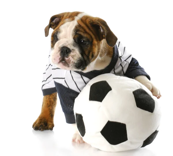 Ventilador de fútbol — Foto de Stock