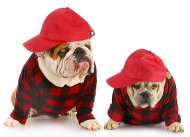father and son dogs clipart