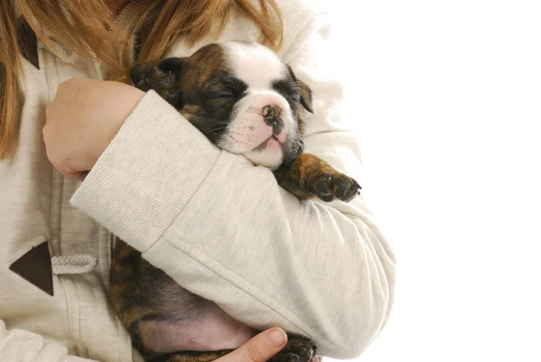Çocuk holding köpek yavrusu — Stok fotoğraf