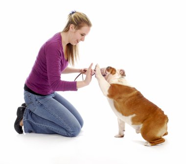 dog obedience training clipart
