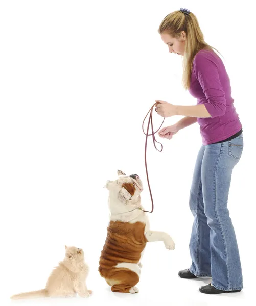 Mujer y sus mascotas — Foto de Stock