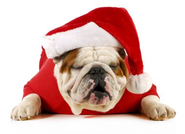 Ho ho ho santa