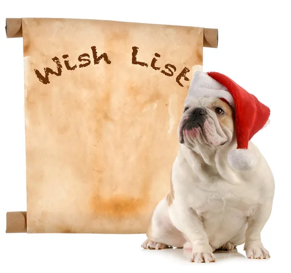 Pet wish list — Stock Photo, Image