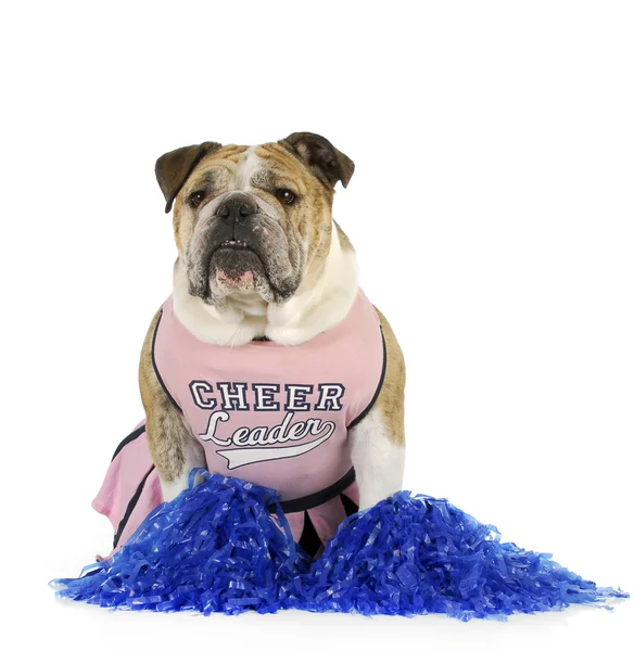 Cheerleader Bulldog — Foto Stock