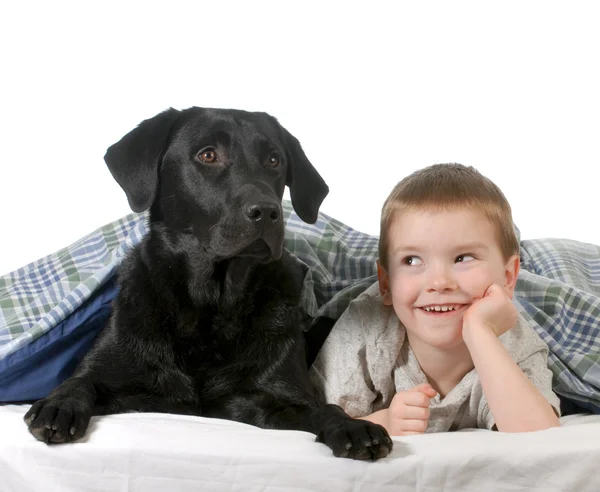 Boy and dog — Stock Photo, Image