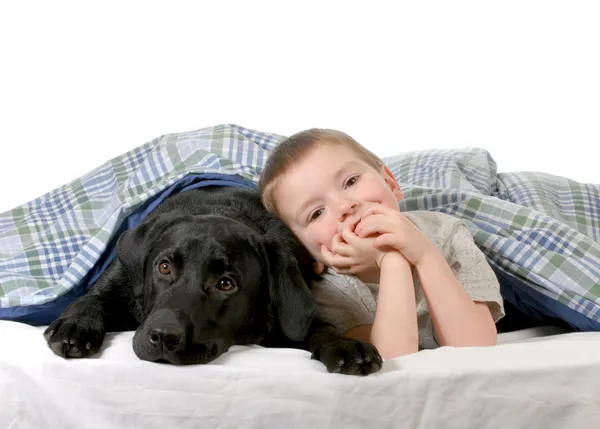 เด็กชายและสุนัข — ภาพถ่ายสต็อก