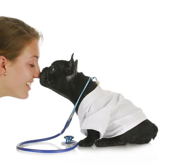 Veterinaire verzorging — Stockfoto