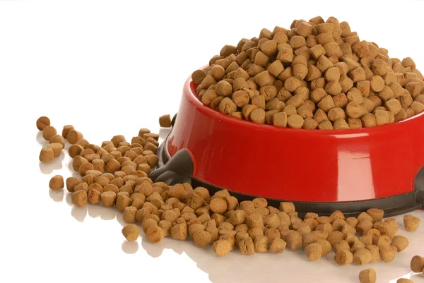 Bowl of dog kibble overflowing in dog dish — Stock Photo, Image