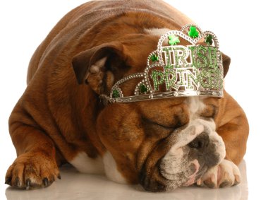 İngilizce Bulldog