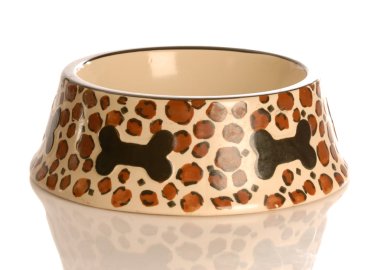 boş evde beslenen hayvan yiyecek kase