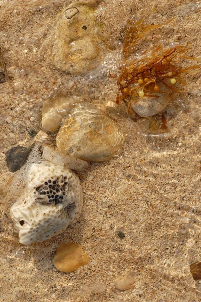Sand on a beach — Stock Photo, Image