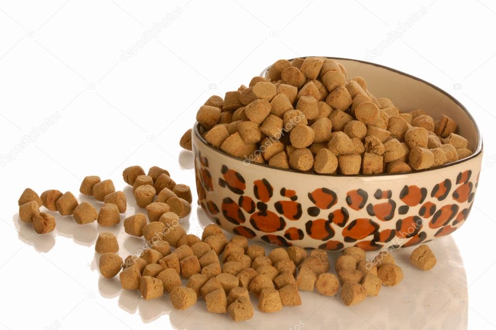 bowl of dog kibble in a heart shaped dog dish
