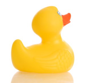 Sarı plastik ördek