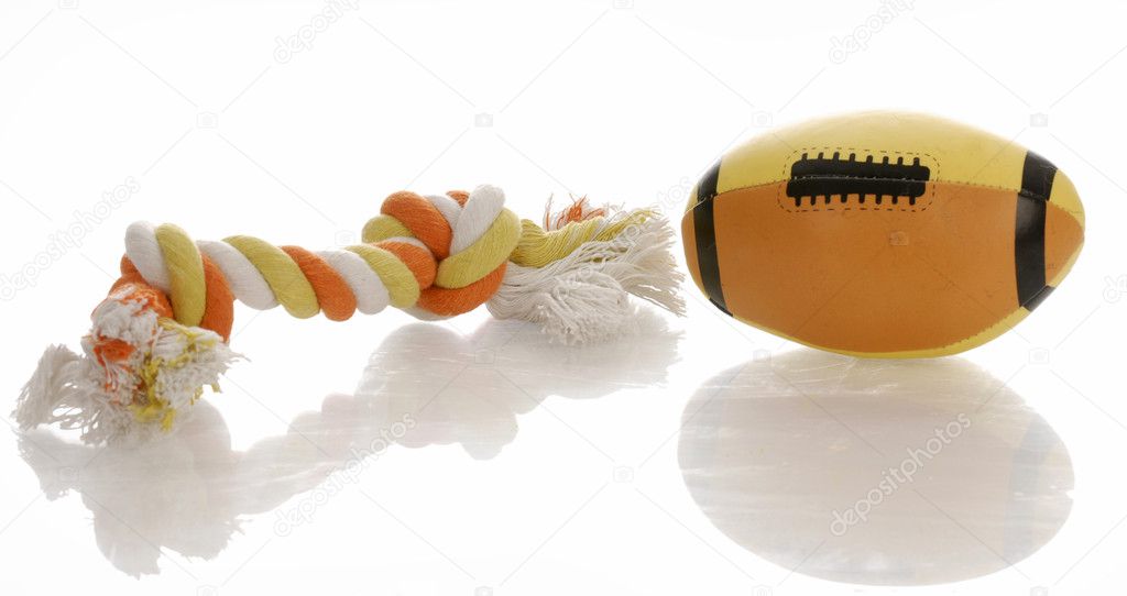 colorful dog toys with reflection on white background