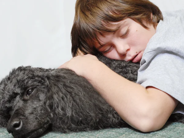 Menino de doze anos dormindo no cão poodle padrão — Fotografia de Stock