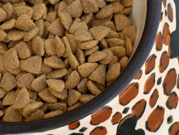 Dog dinner time - pet kibble set out in dog dish — Stock Photo, Image