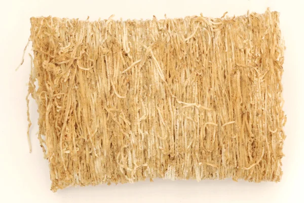 Close up of shredded wheat buscuit cereal — Stock Photo, Image