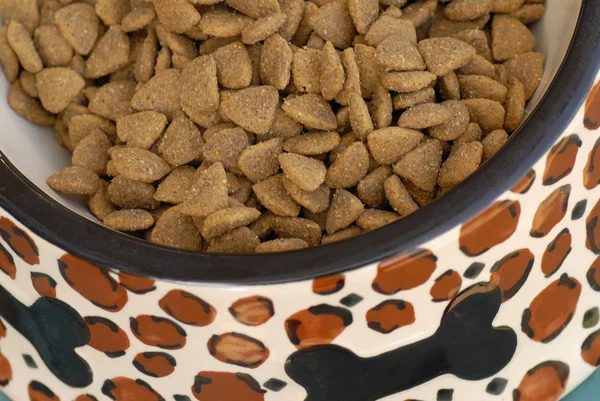 Full bowl of dog food in a ceramic dish — Stock Photo, Image