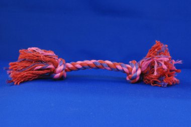 köpek römorkör ip oyuncak mavi zemin üzerine