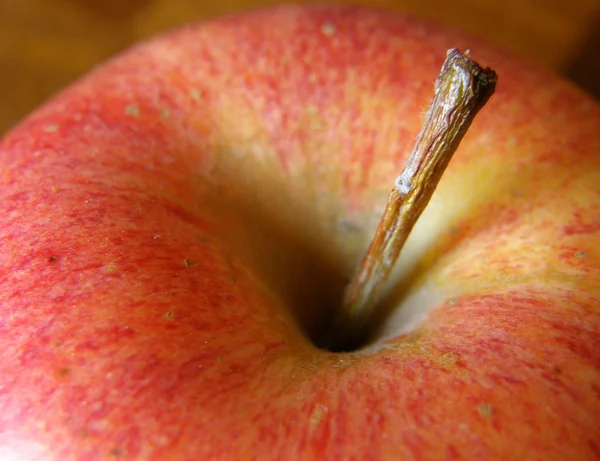 Orchard ripe macro of gala apple and stem — Stock Photo, Image