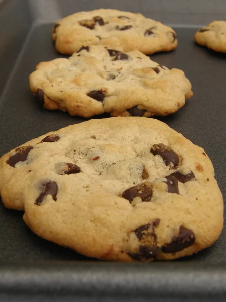 Galletas fritas de chocolate recién horneadas en bandeja para hornear — Foto de Stock