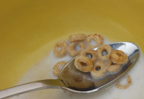 Last bite of cereal to be eaten from the bowl — Stock Photo, Image