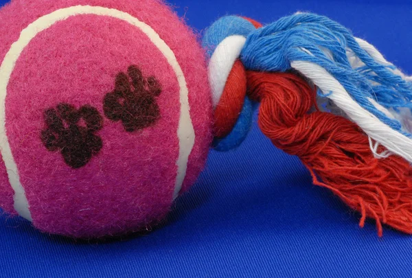 青色の背景に犬ボールの綱引きおもちゃ — ストック写真